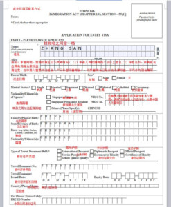 2021 Singapore Visa Application Form Filling Sample And Application