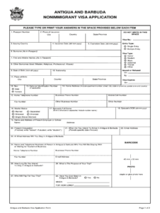 American Visa Application Fill Out Sign Online DocHub