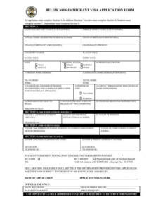 BELIZE NON IMMIGRANT VISA APPLICATION FORM