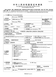 Chinese Visa Application Form Fillable Printable Forms Free Online