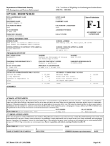 DHS ICE Form I 20 A B 2018 2021 Fill And Sign Printable Template