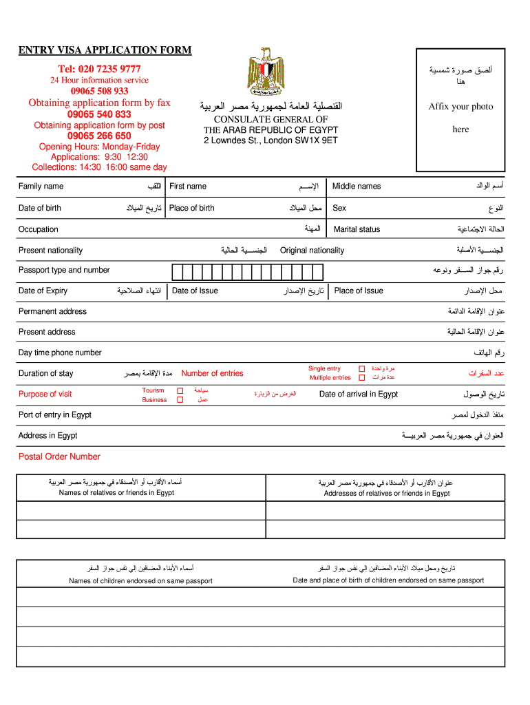 Egypt Visa Application Form Pdf Uae Fill Out Sign Online DocHub