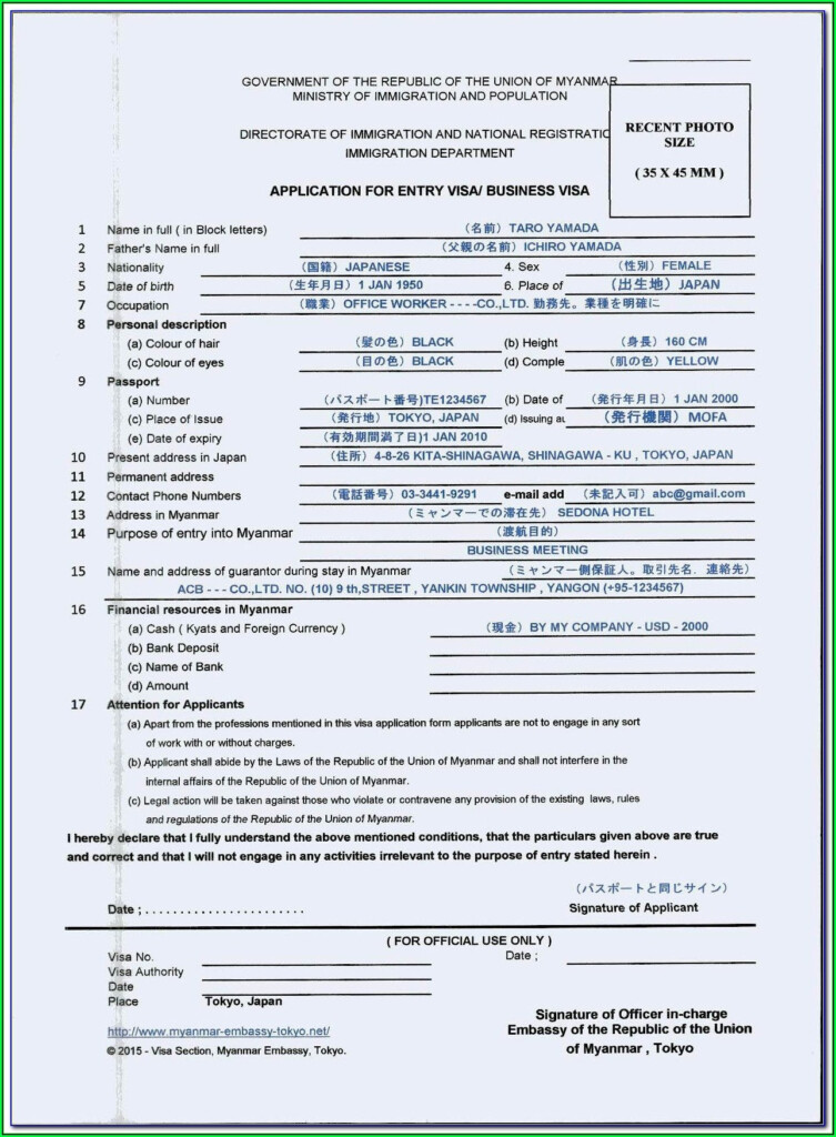 Ethiopian Consulate Visa Application Form Form Resume Examples 