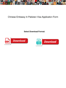 Fillable Online Chinese Embassy In Pakistan Visa Application Form