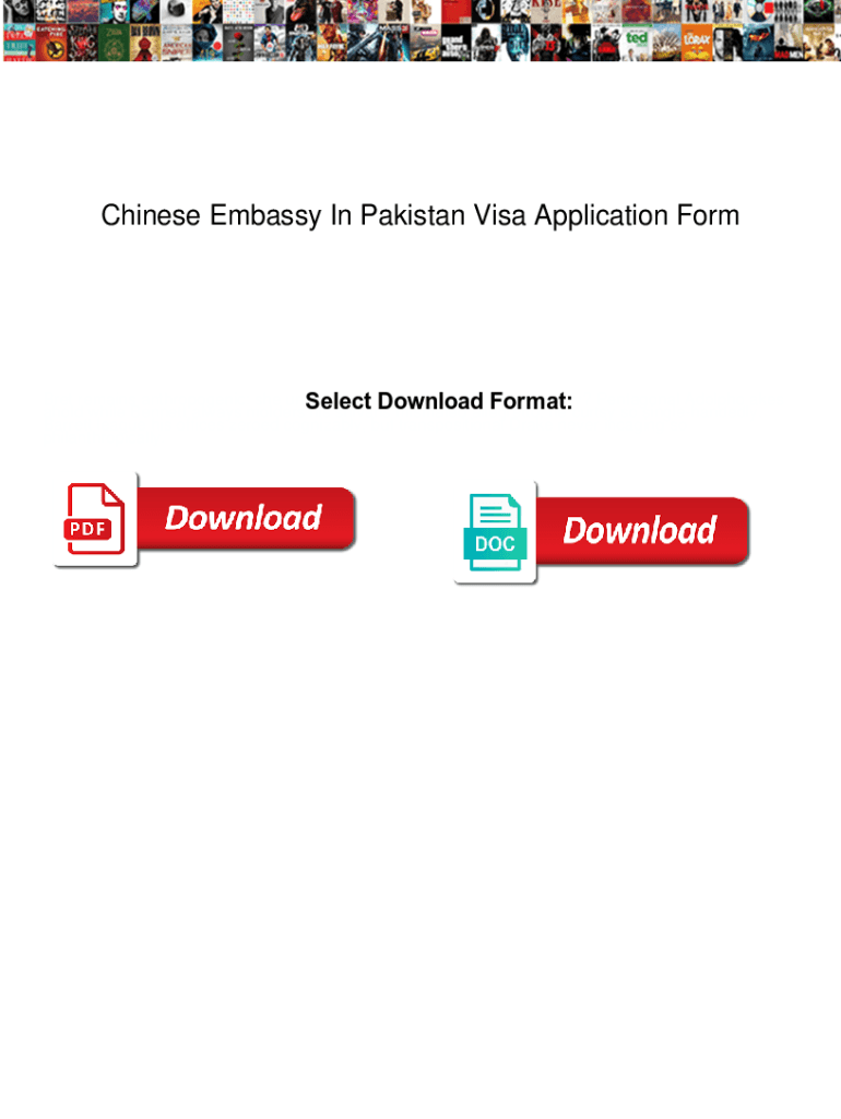Fillable Online Chinese Embassy In Pakistan Visa Application Form 