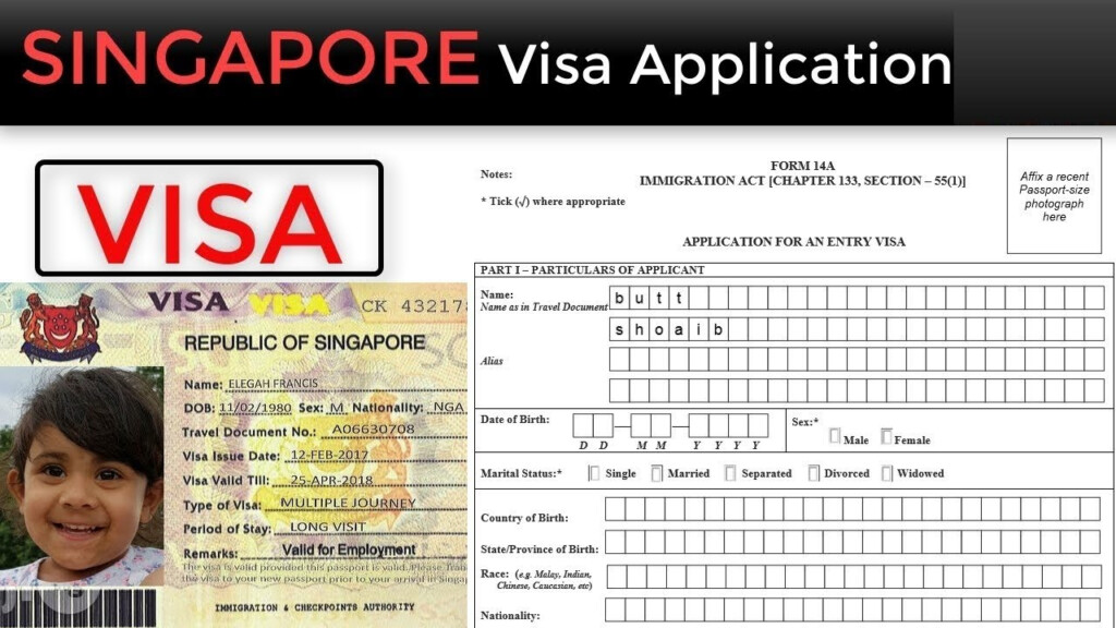 Form 14a Singapore Fillable Printable Forms Free Online