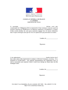 France Visa Application Form Download Pdf 2020 2022 Fill And Sign
