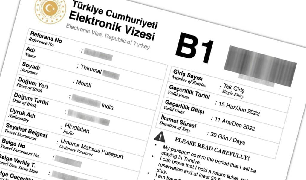 How To Apply For Turkey E Visa A Step by Step Guide Visa Traveler