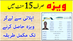 How To Apply Saudi Arabia Transit Visa Online How To Get Saudi Visa