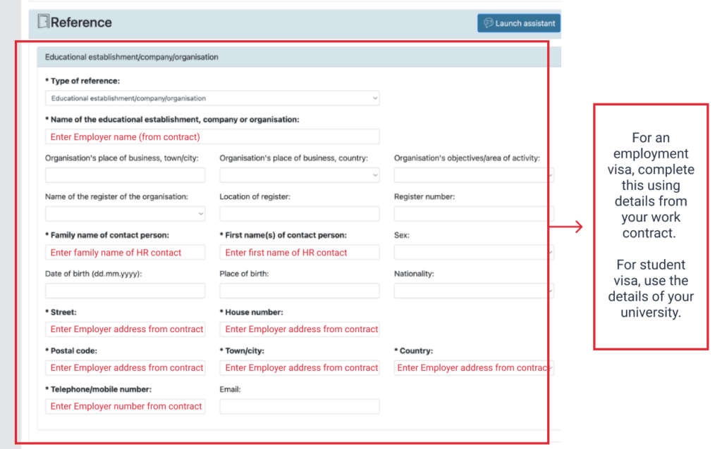 How To Complete The German Visa VIDEX Form For Your Work Visa Jetztpat