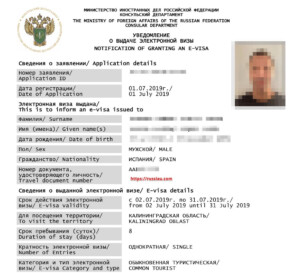 How To Easily Apply For A Russian E Visa In 2023 24