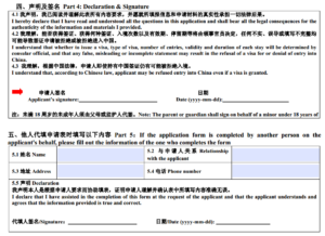 How To Fill Out The China Visa Application Form