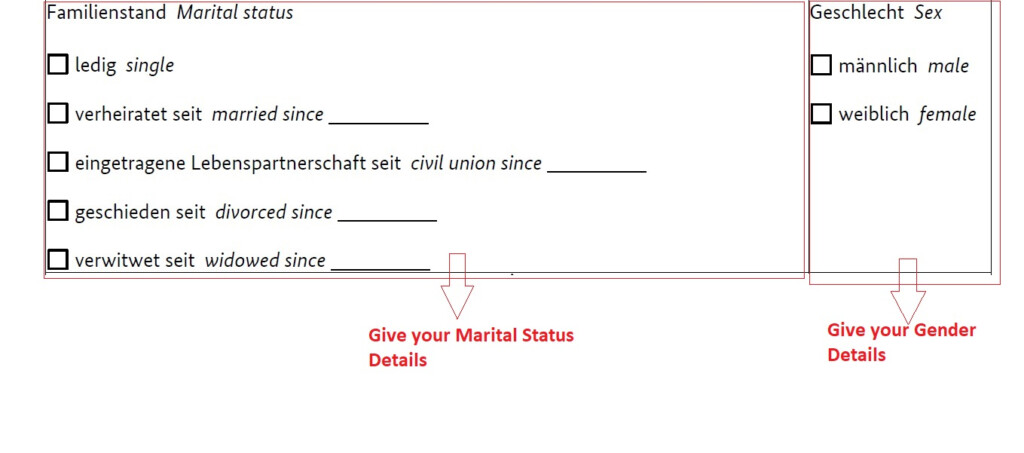 How To Fill The German National Visa Application Form Plan For Germany