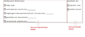 How To Fill The German National Visa Application Form Plan For Germany