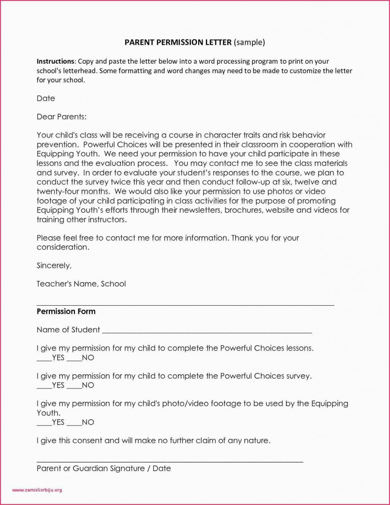 Minor Consent Form Indian Visa Printable Consent Form
