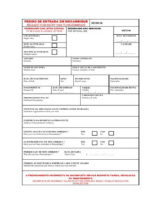 Mozanbique Visa Application Form Travisa