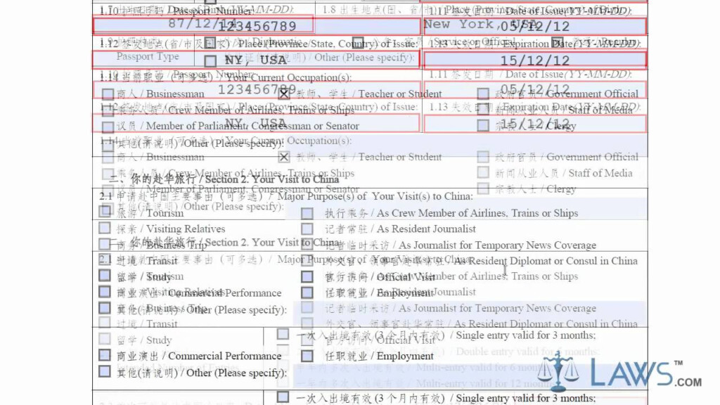 Printable Chinese Visa Application Form Printable Forms Free Online