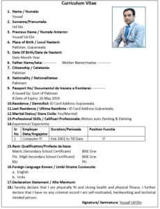 Romania Work Permit 2023 How To Make A CV For Romania SAY JOB CITY