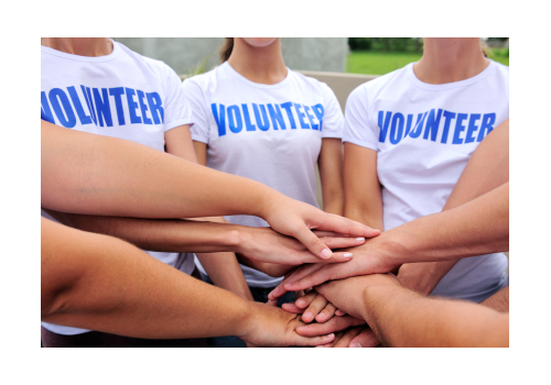SA Migration International Volunteer Visa