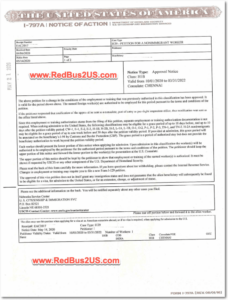 Sample H1B Visa Approval Notice I 797A Fields Meaning 2024