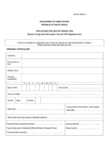 South Africa Visa Application Form Fill Online Printable Fillable