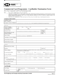 The AIB Visa Corporate And Business Cards Application Doc Template
