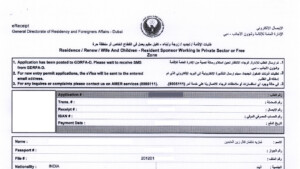 UAE Visa 7 Main Reasons Why UAE Visa Application Could Be Rejected