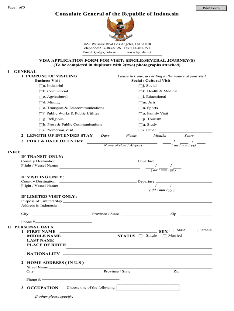 Visa Indonesia Application Form Fill Online Printable Fillable