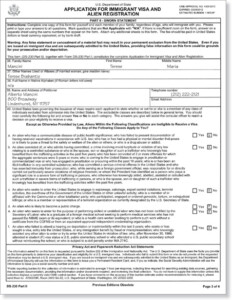 Ds 260 Sample Form Fill Online Printable Fillable Blank PDFfiller