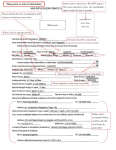 Japan Visa Application Form Sample Chill And Travel