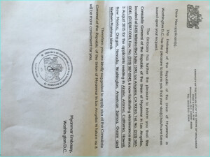 Myanmar Embassy Los Angeles Visa Application Form Form Resume