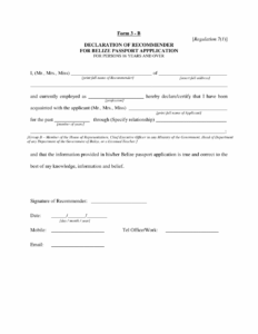 Passport Application Declaration Form Printable Form 2024