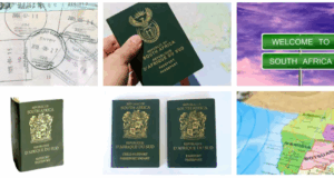 South Africa Visa Application Form Download LewisRayLaw