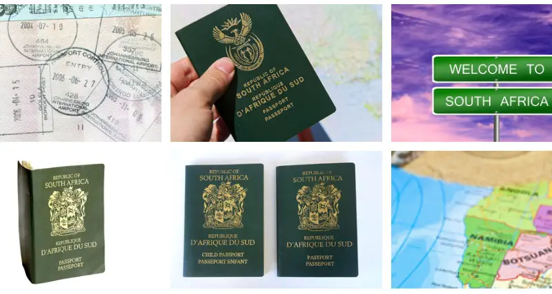 South Africa Visa Application Form Download LewisRayLaw
