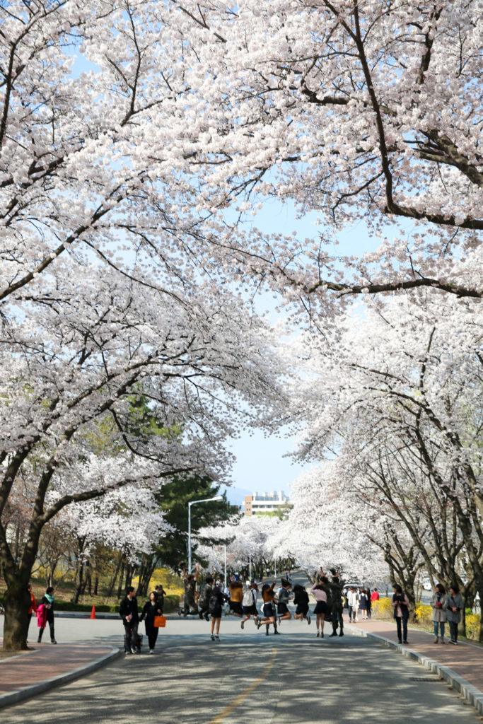 Study Korean In Korea Yeungnam University 