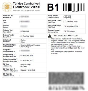 Turkey E Visa Application For Visa To Turkey Online