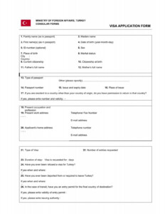 Turkey Visa Application Form